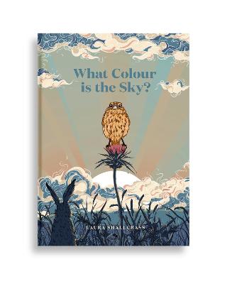 What Colour is the Sky? Book